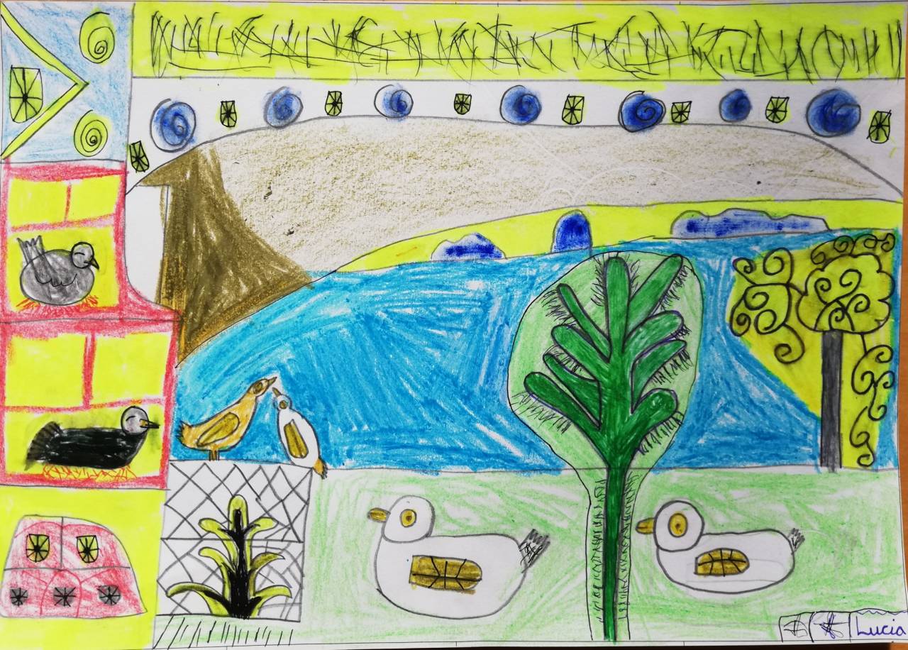 Las palomas, dibujo de Lucía Menjíbar (todos los derechos otorgados a la Fundación Orden de la Paz para el concurso Picasso Cuadros Sinfónicos en Málaga)